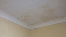 Damp Staining - Ceiling