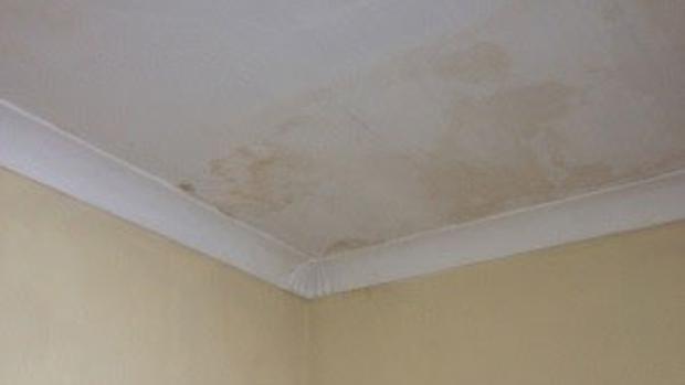 Damp Staining - Ceiling